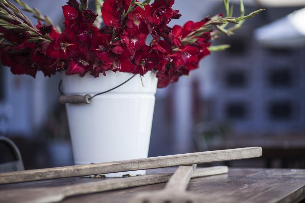 El Mercado Cusco Ngoại thất bức ảnh